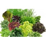 Зелень, салати та трави евро