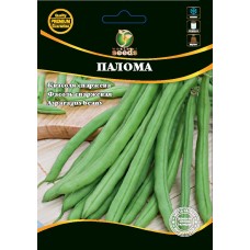 Квасоля спаржева Палома 20г