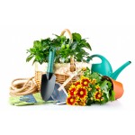 Супутні товари, Біо Деструктори